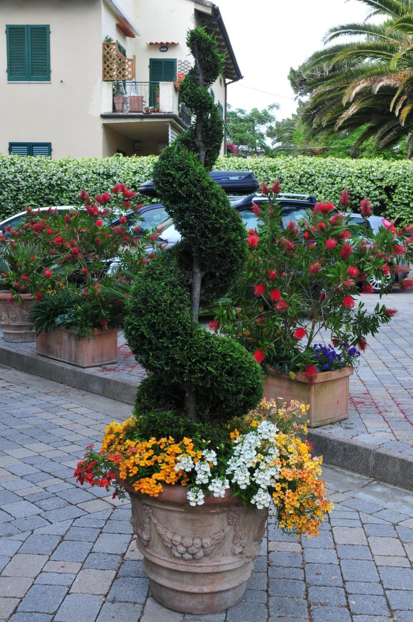 Hotel Riviera Blu Tirrenia Kültér fotó